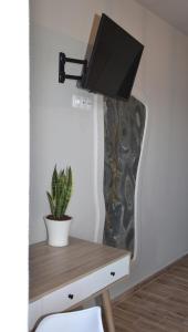 卡利斯托斯Αιγιαλίς - Πολυτελη διαμερισματα的一张桌子,上面有台灯和植物