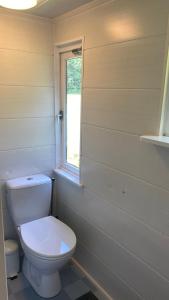 阿尔滕Chalet "naast de Schoppe"的一间带白色卫生间的浴室和窗户。