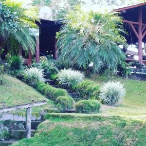 图里亚尔瓦Pochotel的花园,花园内种有灌木和树木,设有长凳