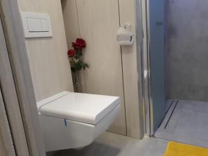 俄斯特拉发Garsonka Ostrava的白色厕所,浴室里装有红色花