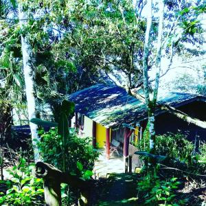 图里亚尔瓦Pochotel的森林中一座蓝色屋顶的房子