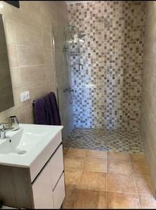 圣地亚哥港Winter Wonderland的带淋浴、盥洗盆和淋浴的浴室