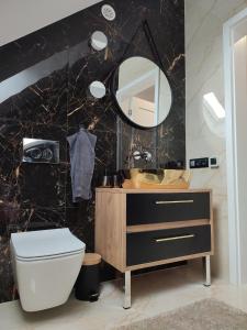 OsetnikLatarnik - luksusowe apartamenty w Stilo的一间带卫生间、水槽和镜子的浴室