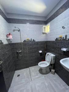 迈尔提勒appartement 10的带淋浴、卫生间和盥洗盆的浴室