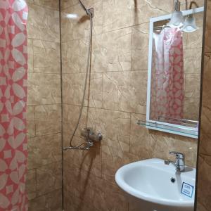 茨卡尔图博Magdan house的浴室配有盥洗盆和带镜子的淋浴