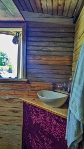 GuanajaGuanaja Backpackers Hostel的木墙上带水槽的浴室