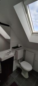 比尔弗登Tinyloft的浴室配有卫生间、水槽和天窗。