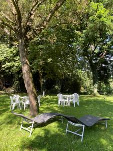 尚布利沃Logis Deshors-Foujanet的树下一组桌椅