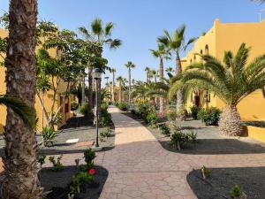 科拉雷侯Casa Julia - OASIS PAPAGAYO的棕榈树和黄色建筑的走道