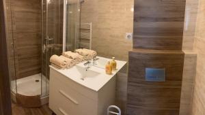 布达佩斯Fig Tree House的一间带水槽和淋浴的浴室