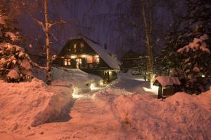 兹拉蒂博尔Villa Đurić Superior的雪覆盖的房屋,晚上有灯