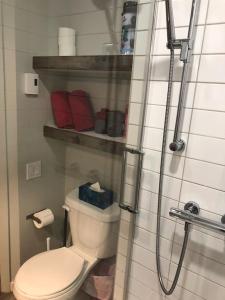 蒙特朗布朗perfect 'lil condo的一间带卫生间和淋浴的浴室