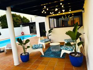 纳萨雷特Nazaret Villa with heated pool的一个带植物和椅子的庭院和一个游泳池