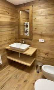 Appartamenti Campiglio的一间浴室