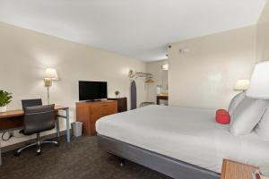 博伟公园晚安普安那公园酒店的酒店客房设有一张床、一张书桌和一台电视机。