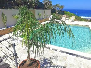 特雷斯努拉吉斯Casa Oleandri的游泳池旁的棕榈树