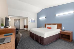 红木城Good Nite Inn Redwood City - San Francisco Airport的配有一张床和一张书桌的酒店客房