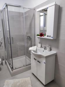 大格拉迪什泰Lago d'argento sobe的带淋浴和盥洗盆的白色浴室