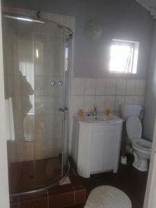 Machadodorp老磨坊酒店的带淋浴、盥洗盆和卫生间的浴室
