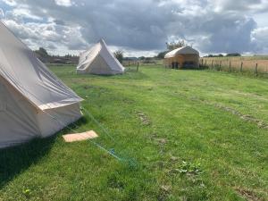 StocksfieldBankfoot Farm Glamping 3的相册照片