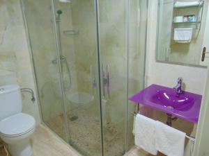 卡萨斯-伊瓦涅斯阿罗斯酒店 的带淋浴、盥洗盆和卫生间的浴室