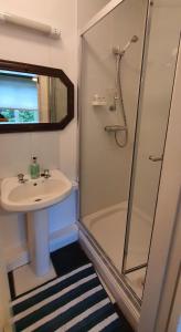 戈尔韦Galway City Lovely 2 Bed Apartment的一间带水槽和淋浴的小浴室