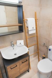 克卢日-纳波卡BG LUXIMMO APARTMENTS的一间带水槽和卫生间的浴室