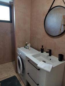 阿维尼翁Studio en campagne的一间带水槽和洗衣机的浴室