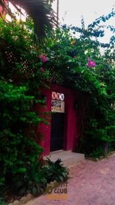 达喀尔O Petit Club Africain Dakar的红色的建筑,有门和一些花