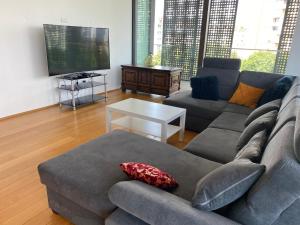 卢布尔雅那提利亚住宿公寓的带沙发和电视的客厅