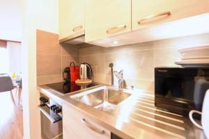 萨永Charming and comfortable studio ideally located in Saillon的一间带水槽和炉灶的小厨房
