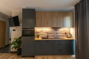 比亚韦斯托克Bison Apartamenty的厨房配有灰色橱柜和砖墙