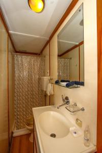 焦济尼Shayamanzi Houseboats的一间带水槽、镜子和卫生间的浴室