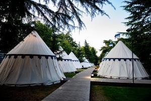 沃里克Warwick Castle Hotel & Knight's Village的一排排成排的白色帐篷
