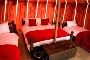 沃里克Warwick Castle Hotel & Knight's Village的橙色窗帘间内的两张床