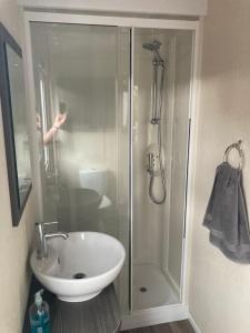 廷塔杰尔Bumblebee Lodge的带淋浴、盥洗盆和淋浴的浴室