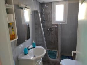 纳克索斯岛卡斯特拉基Villa Lena的带淋浴、盥洗盆和卫生间的浴室
