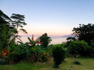 博瓦隆Rose Self Catering的享有树木花园和大海的景色