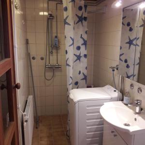 HarjavaltaApartment with sauna in Harjavalta, free WIFI的带淋浴、卫生间和盥洗盆的浴室