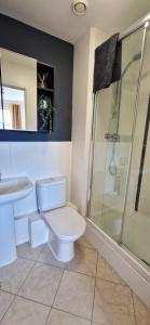 雷丁The Property Parlour的浴室配有卫生间、淋浴和盥洗盆。