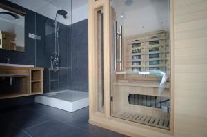 博德森特克Apartments with SAUNAS - Gobi的带淋浴的浴室和玻璃门
