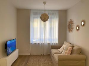 毕尔巴鄂Precioso apartamento junto a Casco Viejo的带沙发和电视的客厅