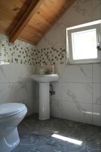 瓦勒博内Guesthouse Skender Selimaj的一间带卫生间、水槽和窗户的浴室