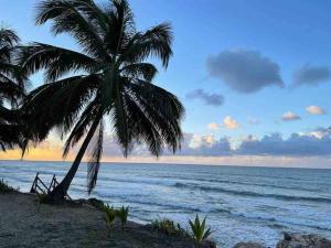 阿瓜达VILLA SEA BEACH的海滩上的棕榈树与大海