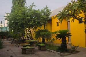 马那瓜马那瓜机场酒店的庭院里一座黄色的建筑,里面种有树木和长凳