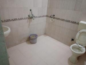 珀勒德布尔KIRAN GUEST HOUSE的一间带卫生间和水槽的浴室