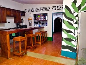 莱昂Hostal El Rio的一间厨房,内设一个柜台和凳子