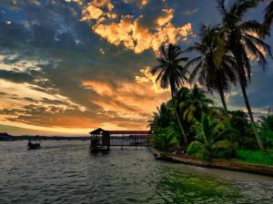 博卡斯德尔托罗Poetry Garden Bocas Town Colon Island- Deluxe Bungalow Cabin-AC-Enjoy the Night Life的棕榈树的海水上日落