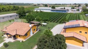 GorgoAgriturismo Tiare dal Gorc的享有房子和葡萄园的空中景致