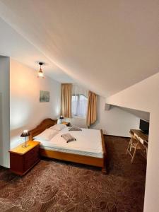 巴克乌Vila Alsace Podu' cu Lanturi的一间卧室配有一张大床和一张书桌
